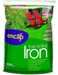 Encap Fast Acting Iron