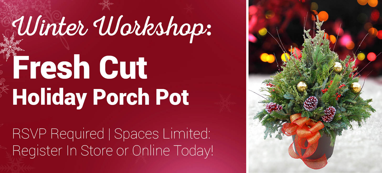 Come and create your very own custom designed Holiday Porch Pot!