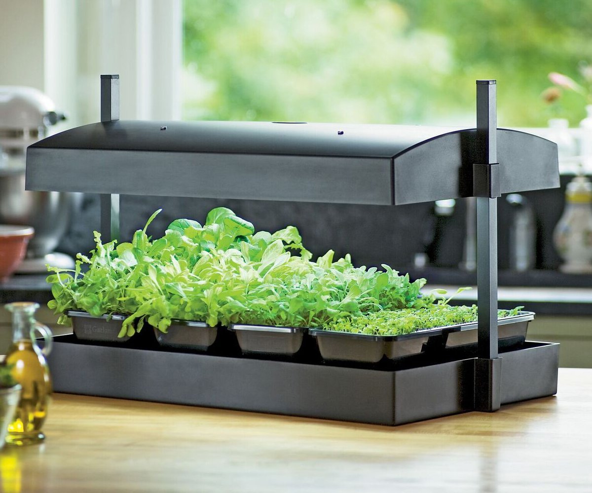 Sunburst Grow Light Garden system. Giveaway prize at our Seed Starting Seminar.