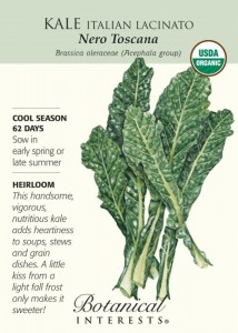 Botanical Interests - Kale - cool season