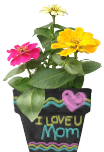 Give mom a Mother's Day Chalkboard Planter you planted and decorated yourself!