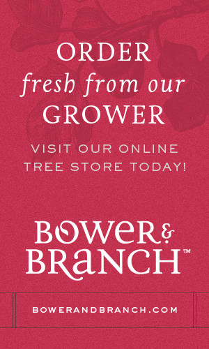 Bower&Branch-300x500-Order Fresh