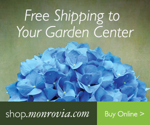 Click here to learn more about Monrovia Plants