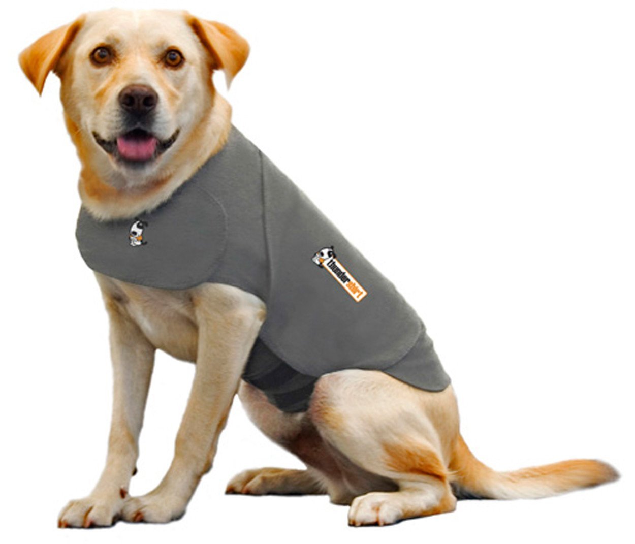 dog anxiety vest