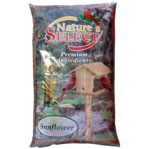 NATURE'S SELECT BLACK OIL SUNFLOWER SEED, 10 LB