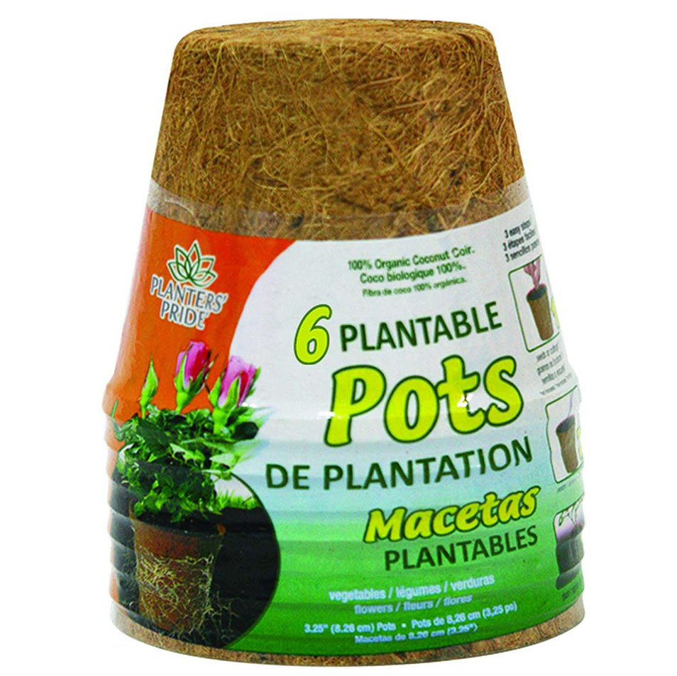 Why Coir Pots? - Grow By Coco