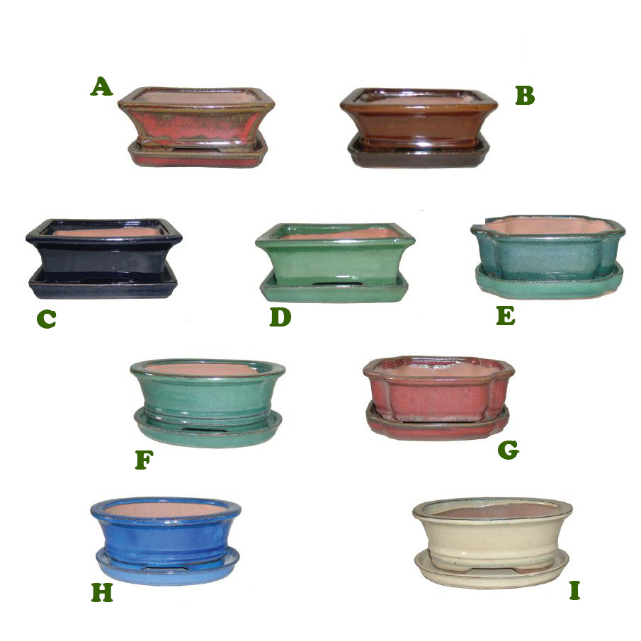 Bonsai Pot w/ Saucer, 6 1/8" x 4 1/2" x 2" - Alsip Home & Nursery