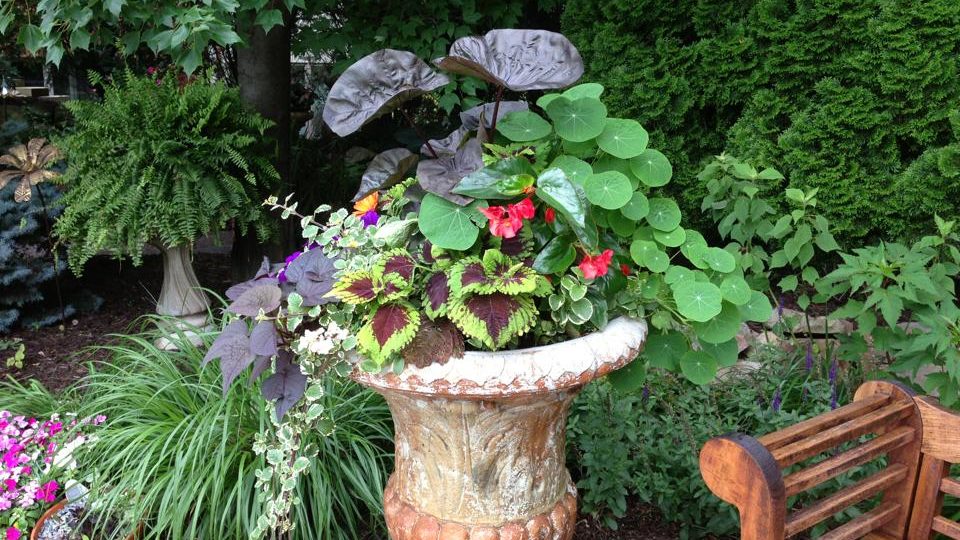 Ask us about our Custom Potting Service at Alsip Home & Nursery!