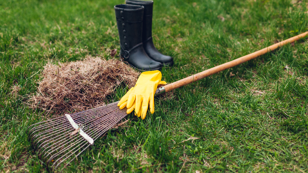 Winterizing Your Lawn And The Benefits Of Phosphorus - Alsip Home & Nursery