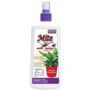 Mite-X Houseplant Insect Killer, 12 Oz