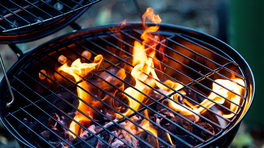 Propane, Charcoal, or Smoker? A Backyard Cookout Guide | Alsip Home ...
