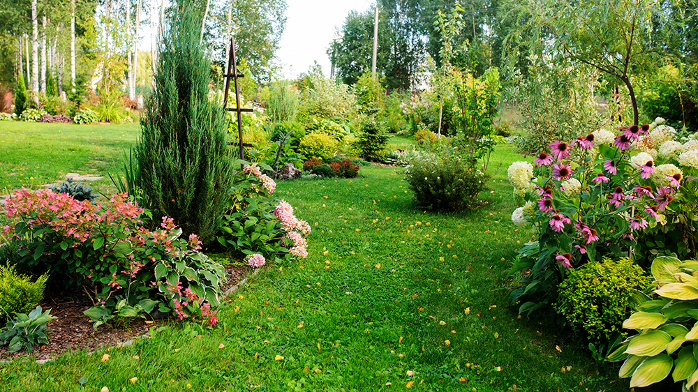 low-maintenance-perennials-alsip-garden