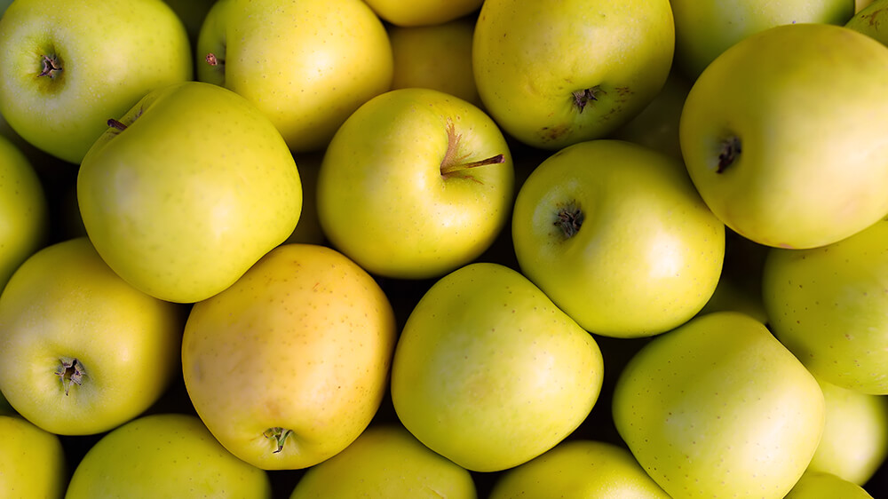 alsip-nursery-best-apple-trees-mcintosh-apple-tree