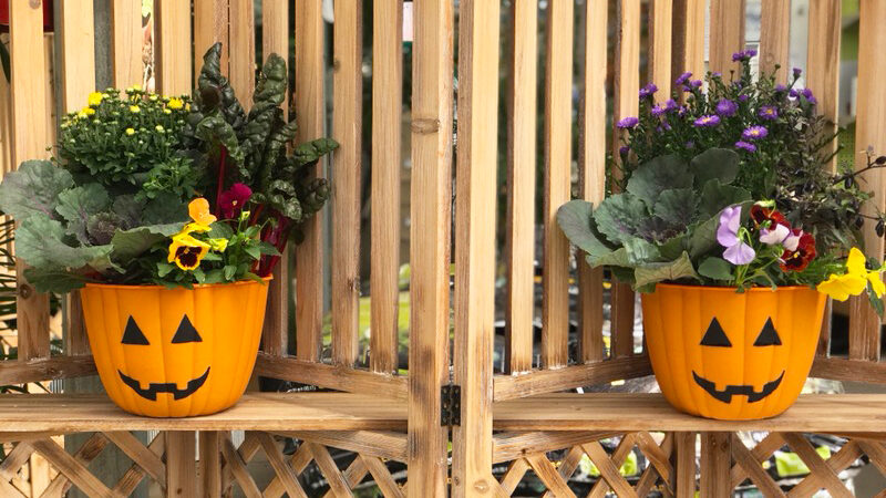Fall Container Workshop