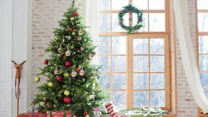 Alsip Real Christmas Tree Care decorated tree up against window