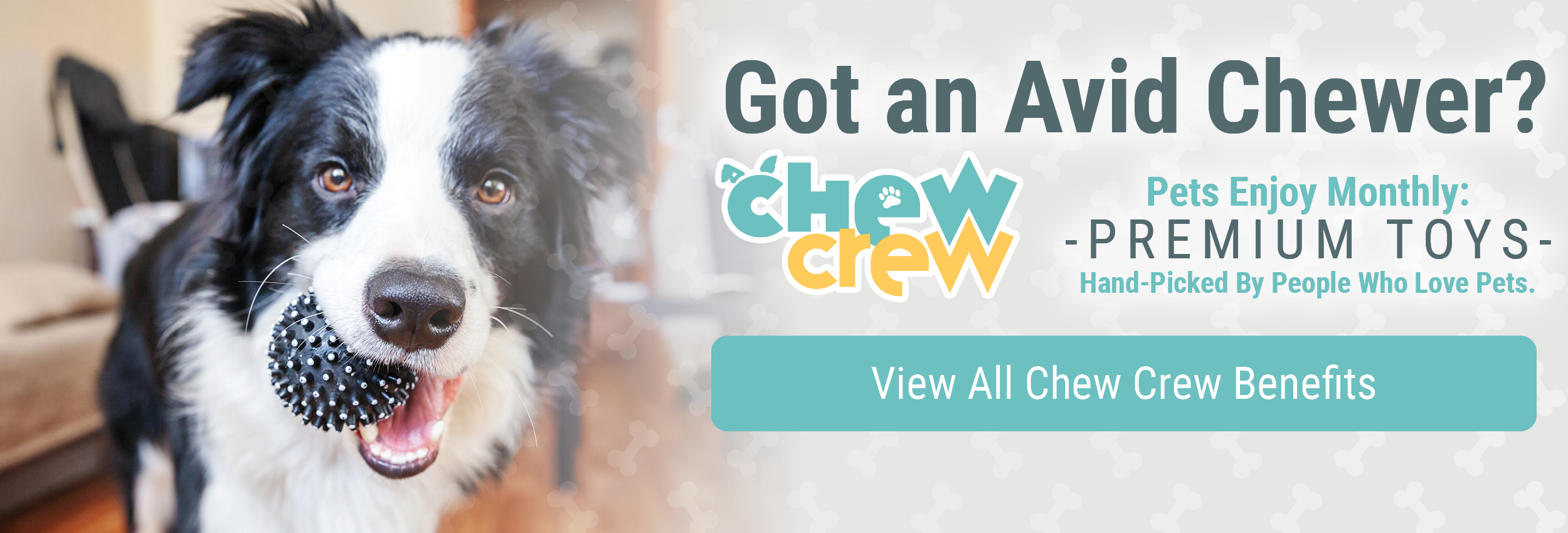 Got an Avid Chewer? Chew Crew Pets Enjoy Premium Toys Every Month!