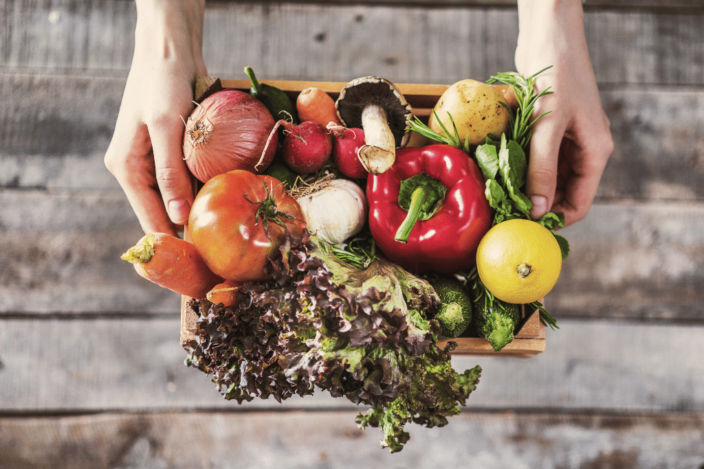fresh vegetables veggies in a basket that were hand picked by a gardener alsip nurseries