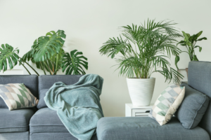 tropical plants inside of a living room