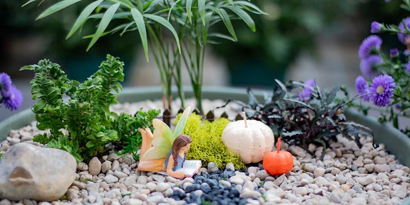 Fall Fairy Garden Workshop at Alsip Home & Nursery