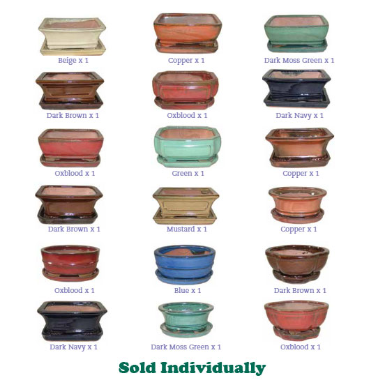 Border Concepts Professional Bonsai Pot w/ Saucer, 6.25-Inch (Styles &  Colors Vary)