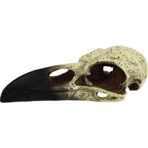 Komodo, Raven Skull, Large