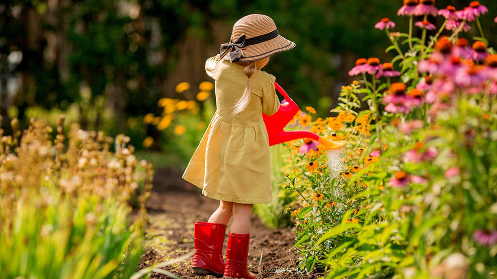 Alsip Nursery - family gardening - child watering garden flowers