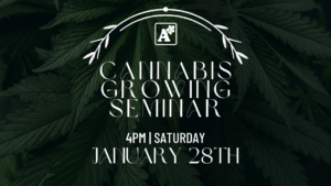 Cannabis Growing Seminar 4 pm Saturday January 28th
