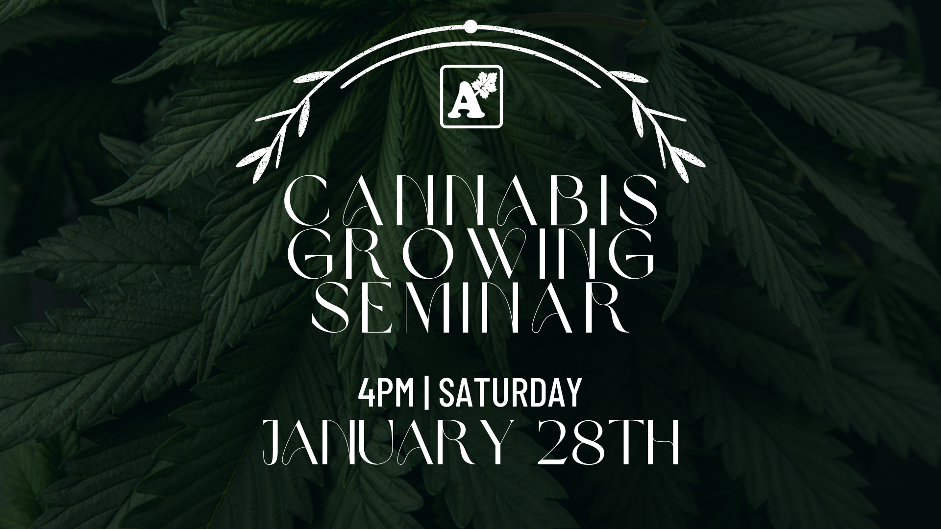 Cannabis Growing Seminar 4 pm Saturday January 28th