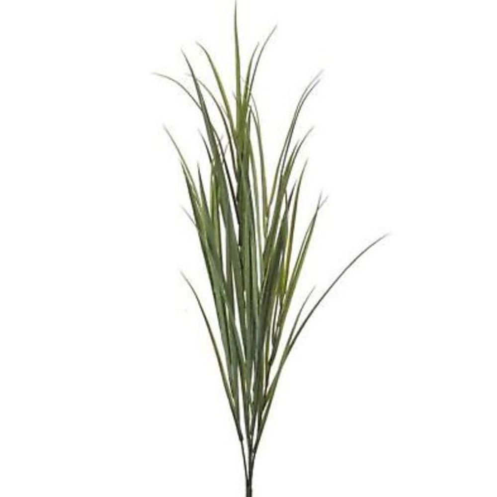Regency, Ornamental Grass Bush, 41