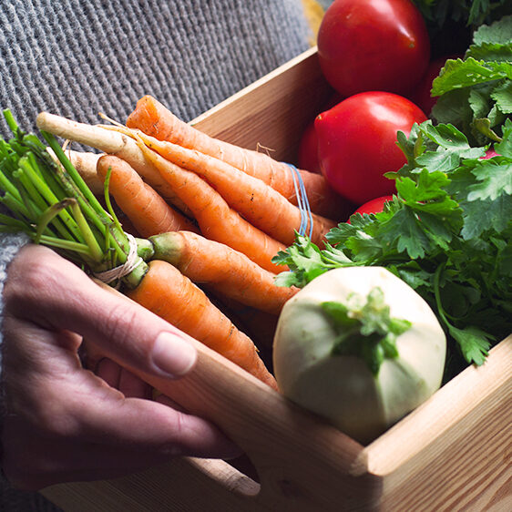 9-kitchen-garden-edibles-basket-of-vegetables-header