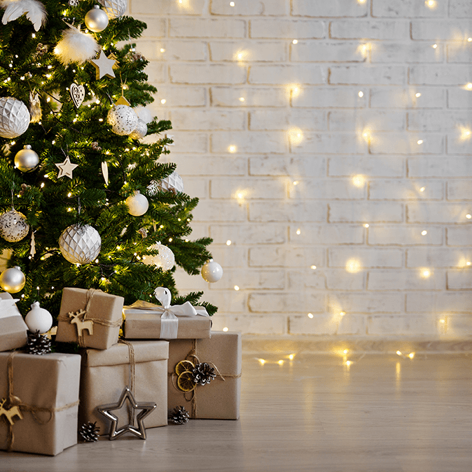 Alsip Nursery-christmas tree with lights behind
