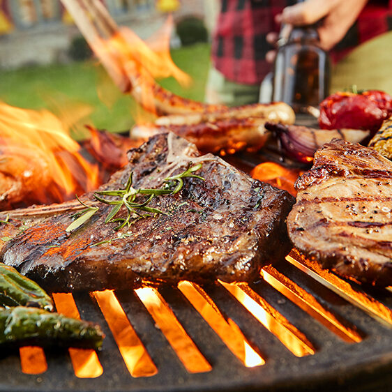 alsip-nursery-backyard-cookout-bbq-guide-grilling-meat-and-vegetables