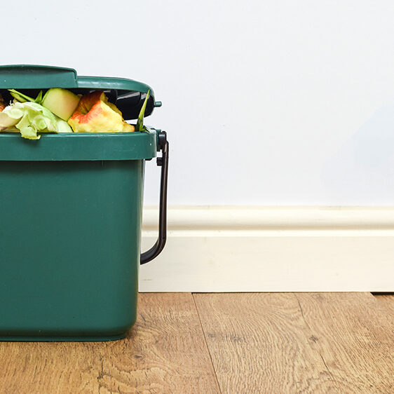 composting-for-beginners-indoor-compost-bin