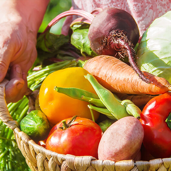 plan-spring-vegetable-garden-basket-of-fresh-vegetables